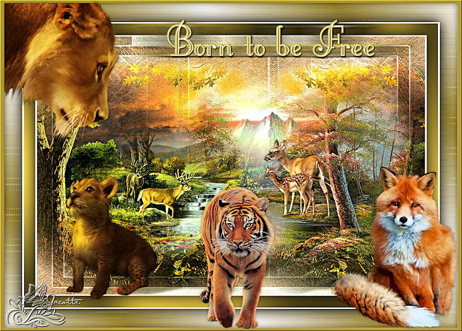 Born to be frre