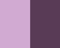 Couleurs 45