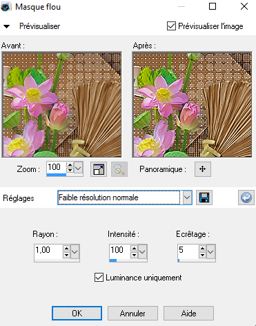 Masque flou 2