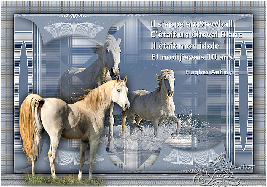 Il s’appelait Stewball
