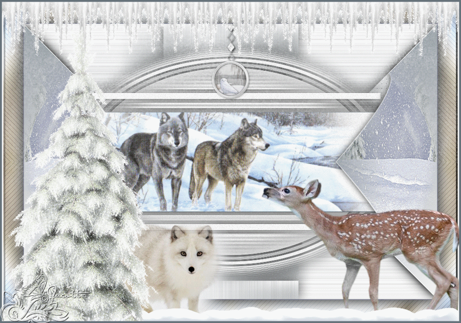 Magie de l’hiver