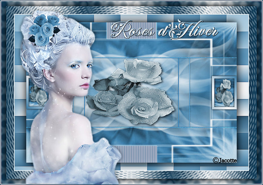 Roses d’hiver