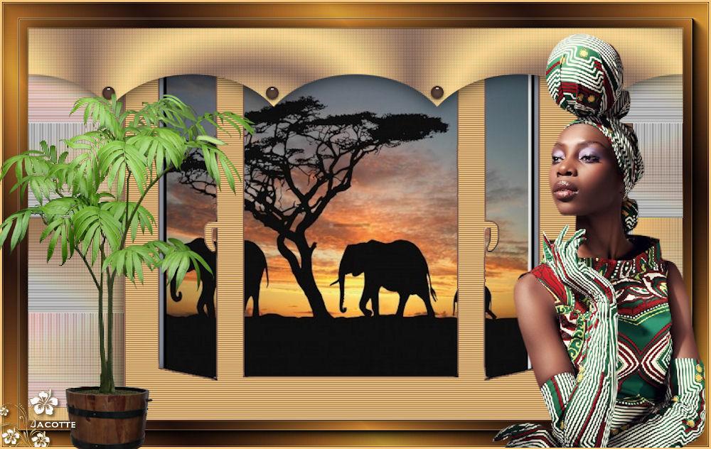 Safari