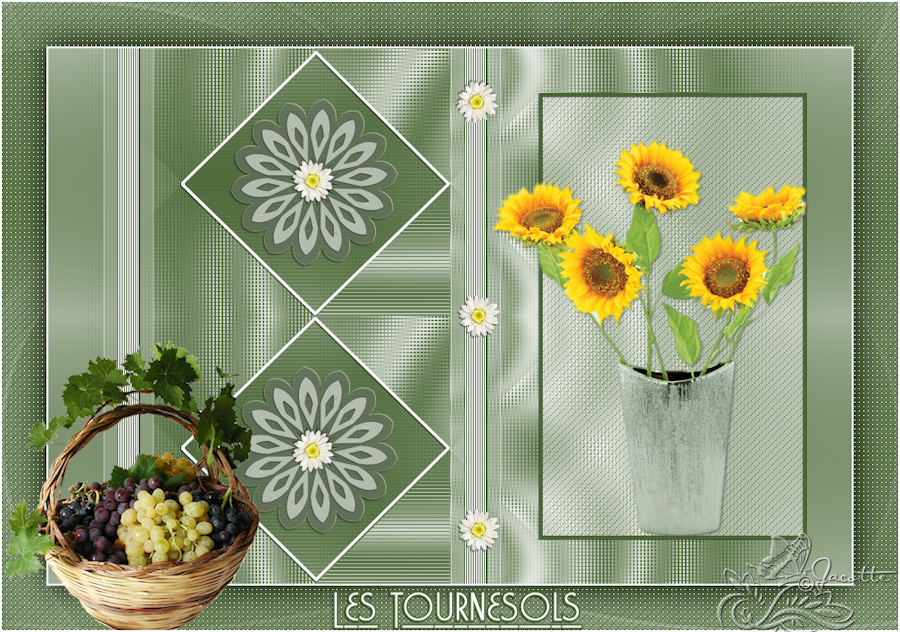 Tournesols