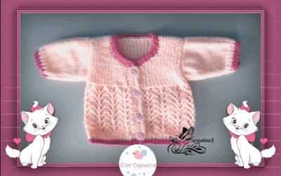 Protégé : Gilet Capucine